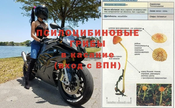 меф Нефтекумск
